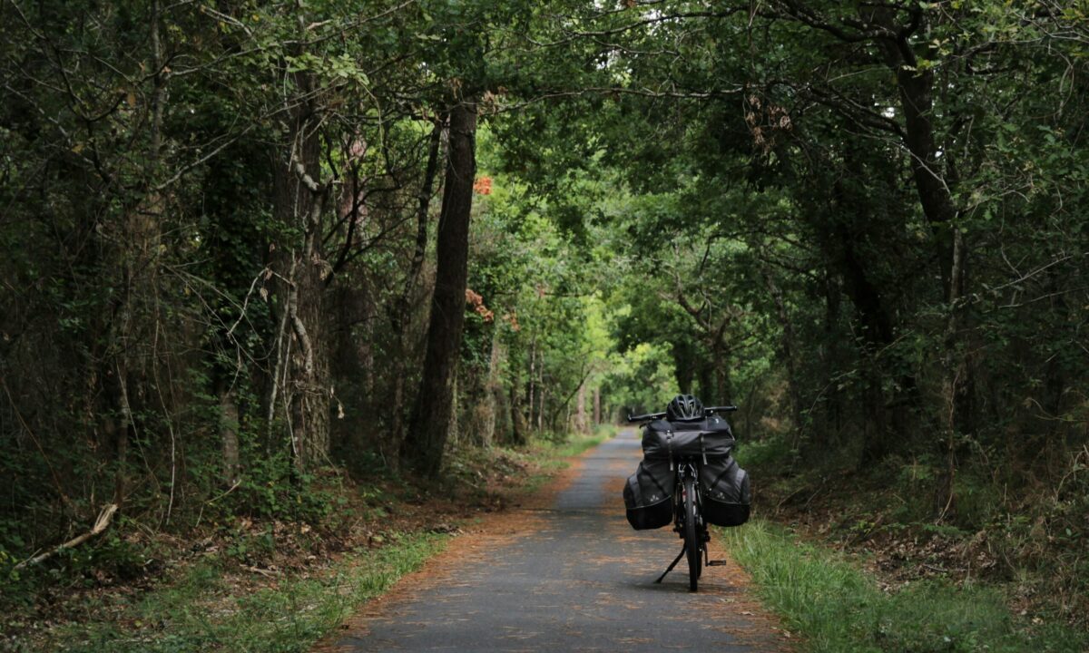 荷物を積んだ自転車が、木々に囲まれた静かな森の道に一台だけ佇んでいる。